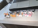 靜閑居貓咪擺件電腦桌面擺件小飾品小貓屏幕顯示器車(chē)載辦公室藍染pvc 小貓咪桌面擺件【9個(gè)裝】 曬單實(shí)拍圖