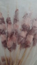 羊小柒寧夏灘羊肉生鮮 羔羊肉串5斤  清真羊肉烤肉食材 源頭直發(fā)包郵 曬單實(shí)拍圖