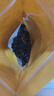 東北黑木耳干貨特級(jí)秋木耳小云耳野生商用特產(chǎn)脆毛一級(jí)小碗耳 黑木耳50g*1袋 曬單實(shí)拍圖