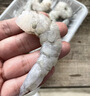 鼠大皇活剝青蝦仁鮮凍無(wú)冰大蝦仁特級新鮮冷凍手工去蝦線(xiàn)速凍白蝦類(lèi)商用 大號蝦仁 500g(凈重) 曬單實(shí)拍圖