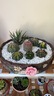 花盆綠植盆栽大口徑拼盤(pán)多肉陶瓷素燒透氣粗陶桌面綠植手繪小花盆 拼盤(pán)-大號1號盆（帶孔） 【看圖標注】 曬單實(shí)拍圖