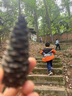 安踏兒童運(yùn)動(dòng)鞋透氣跑鞋男小童鞋子網(wǎng)眼寶寶跑步鞋A312429919 曬單實(shí)拍圖