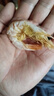 烤蝦美味解饞海鮮干貨年貨熟食海蝦小吃烹飪鮮美解饞下酒菜冷凍 烤蝦約90-98只 共250克 曬單實(shí)拍圖