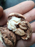 薄皮核桃原味堅果零食云南老樹(shù)核桃自然丑核桃零添加健康美味營(yíng)養 5斤云南特產(chǎn)紙皮核桃包郵嘗鮮 曬單實(shí)拍圖