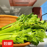 京鮮生云南高原水果西芹 凈重4斤裝 新鮮采摘 源頭直發(fā)  曬單實(shí)拍圖