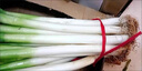 山東大蔥新鮮正宗脆甜辣精品鐵桿大蔥特產(chǎn)當季整箱食材 精選裝 5斤 【12H現(xiàn)摘】帶皮去半葉 曬單實拍圖