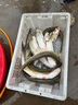 久巖折疊桶垂釣桶加厚多功能方形手提桶網(wǎng)兜魚護(hù)桶便攜式活魚桶打水桶 黑坑版8L帶防跳網(wǎng)（20*20*20cm） 曬單實拍圖