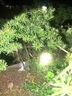 輕享奢LED頭燈強光戶外可充電遠射防水手電筒超亮頭戴式超長續(xù)航礦燈 特爆亮激光炮-正品-質(zhì)保十年 188W宇宙款【999000K】待續(xù)999天 曬單實拍圖