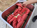 榮事達(dá)（Royalstar）【爆款推薦】電風(fēng)扇交流定頻家用7葉柔風(fēng)落地扇臺(tái)地兩用大風(fēng)量節(jié)能搖頭電扇辦公低噪 FD-30L501 曬單實(shí)拍圖