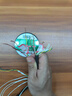 愛力寶 ALIPO電批扭力測試儀風(fēng)批電機(jī)瓶蓋起子螺絲刀HP數(shù)顯扳手扭矩測試扭力計(jì) 高精度二代電批/風(fēng)批HP-100 曬單實(shí)拍圖
