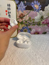 MICROKIA【2025最新款丨金榜第1名】藍(lán)牙耳機(jī)耳夾式骨傳導(dǎo)概念開放式無(wú)線不入耳運(yùn)動(dòng)跑步游戲通話降噪掛耳 霜雅白丨APP升級(jí)版丨久戴不傷耳 柏林之聲|適用于蘋果小米榮耀 曬單實(shí)拍圖
