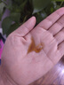 安修澤（ONCUR）紅山動(dòng)物園聯(lián)名油橄欖精華50ml舒緩修護(hù)修紅控油祛痘【九歌同款】 曬單實(shí)拍圖