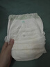 babycare金山茶花拉拉褲XL34片*2包(12-17kg)嬰兒尿不濕超薄透氣花苞褲 曬單實拍圖