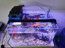 森森 魚缸過濾器盒 水族箱水幕過濾槽 頂部過濾設(shè)備 上濾盒滴流盒AF 小號抽屜式壁掛滴流盒（水泵濾材套餐） 曬單實拍圖