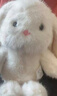名創(chuàng)優(yōu)品（MINISO）塔妮兔抱愛心花束公仔毛絨玩偶玩具抱枕生日禮物告白畢業(yè)禮物 曬單實拍圖