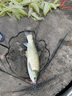 沃鼎王者神劍三代釣魚竿碳纖維超輕鯽魚竿大物竿魚桿臺釣竿5.4米 5.5H 曬單實拍圖