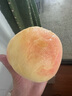 京地達江蘇桃子水蜜桃 凈重9.8斤單果250g桃子水蜜桃當季源頭直發(fā)包郵 曬單實拍圖