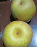 式果禮上海莊行蜜梨【順豐到家】奉賢特產(chǎn)翠冠梨焦溪蜜梨子新鮮水果禮盒 4.5斤 精選中果【單果5-6兩】 曬單實拍圖