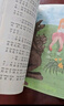 暑假預(yù)復(fù)習(xí)一本通小升初 小學(xué)六年級(jí)升初中語(yǔ)文數(shù)學(xué)英語(yǔ)三合一30天暑假打卡計(jì)劃暑假作業(yè)銜接教材專項(xiàng)訓(xùn)練習(xí)題冊(cè) 贈(zèng)28天晨讀必背核心知識(shí)（全2冊(cè)） 曬單實(shí)拍圖