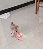 HELLOJOY狗狗玩具耐咬球自動逗狗神器自嗨解悶寵物電動小狗智能彈力遛狗球 曬單實拍圖
