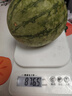山東正宗頭茬2k手剝皮小西瓜薄皮新鮮冰激凌小糖丸超甜手撕小吊瓜 4-4.5（1-2個西瓜） 手撕小西瓜 曬單實拍圖