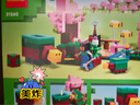 樂高（LEGO）積木拼裝玩具 我的世界 21268豬寶寶房屋 7歲+ 七夕情人節(jié)禮物 曬單實(shí)拍圖