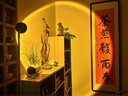 羽普小紅帽落地?zé)艨蛷d沙發(fā)旁邊高級感輕奢落地氛圍燈臥室網(wǎng)紅落地臺(tái)燈 黑色 調(diào)光調(diào)色（帶遙控器）可伸縮 N08 曬單實(shí)拍圖