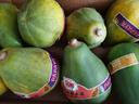 都樂Dole 進口木瓜 新鮮水果非轉(zhuǎn)基因 6/8/10只原箱裝 凈重4KG 曬單實拍圖