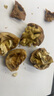 鮮級佳大涼山新鮮濕核桃去青皮嫩核桃老樹薄紙皮核桃孕婦專用生核桃新貨 凈重5斤【去青皮】送夾子 曬單實拍圖