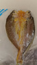 三都港 鮮凍寧德醇香黃魚鲞凈重700g(3條裝) 非遺傳承 源頭直發(fā) 曬單實(shí)拍圖