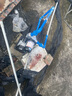 恒格爾增壓泵家用自吸泵熱水器自來水全屋管道加壓泵全自動(dòng)抽水泵 380W（自動(dòng)啟停/防凍防銹） 曬單實(shí)拍圖