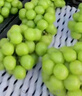 京鮮生 云南陽(yáng)光玫瑰葡萄 青提2斤裝 單果8g起 生鮮水果 曬單實(shí)拍圖