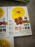 中學(xué)生作文一本全 作文辭海 議論文論點(diǎn)論據 好開(kāi)頭好結尾 好詞好句好段/思維導圖作文（套裝共5冊） 曬單實(shí)拍圖