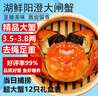 【活蟹】湖鮮陽澄 大閘蟹 去繩足重 3.5-3.8兩 12只 鮮活六月黃現(xiàn)貨超大螃蟹海鮮禮盒裝 曬單實拍圖
