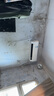 美的（Midea）酷省電pro 空調(diào)掛機 大1.5匹新一級能效全直流變頻節(jié)能省電低噪音防直吹 以舊換新 國家補貼20%8折 大1.5匹 一級能效 酷省電pro 曬單實拍圖