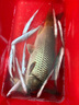 烈火麒麟烈火麒麟河冠鯉一包搞定野釣黑坑鯉魚餌料散炮搓餌軟粘釣餌手食餌 河冠鯉500克（2包）新包裝 曬單實(shí)拍圖