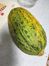 趣嘗鮮 藤上熟黑金蜜瓜 2枚 6-7斤 蜜瓜 新鮮水果 源頭直發(fā) 包郵 曬單實拍圖
