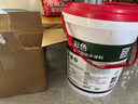 雨虹防水200柔性防水涂料衛(wèi)生間墻地通用堵漏材料 廚房陽臺防水補漏材料 雨虹彩色【柔韌】藍(lán)色-通用 18kg 防水涂料 曬單實拍圖