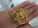 淡曬蝦皮新曬蝦皮500g淡干不咸寶寶蝦皮無(wú)添鹽晾曬海蝦皮蝦米干貨 250g-精選海蝦皮【無(wú)加鹽晾曬】 曬單實(shí)拍圖