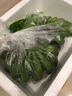 三萌果蔬廣西小米蕉【青蕉發(fā)貨收到需催熟】芭蕉新鮮水果香甜粉糯現(xiàn)摘現(xiàn)發(fā) 5斤精品果【香甜軟糯】?jī)?.5斤 曬單實(shí)拍圖