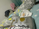 bebebus 金標茶樹精華成長褲3XL20片(≥17kg)透氣超薄拉拉學步褲男女寶 曬單實拍圖