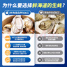 鮮海道 鮮活乳山生蠔4XL 凈重5斤 10-14只 生鮮海鮮貝類 源頭直發(fā) 曬單實(shí)拍圖