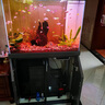 森森（SUNSUN）新款智能簡(jiǎn)奢魚(yú)缸客廳超白玻璃大型底過(guò)濾免換水生態(tài)水族箱 超白新式底濾+無(wú)極變光 0.8米35寬 紳士灰 曬單實(shí)拍圖