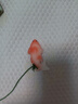 砂鍋陶瓷煲耐高溫干燒家用燃?xì)庠顭蹂侅易酗垷鯗珶跞鈱Ｓ脺覝?【升級(jí)加厚】3-5人用 3.3L 曬單實(shí)拍圖