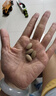 康恩貝補(bǔ)鐵補(bǔ)血當(dāng)歸黃芪鐵片藍(lán)帽認(rèn)證氣血兩虛女人貧血中老年人改善貧血 1瓶40粒體驗(yàn)裝10天量 曬單實(shí)拍圖