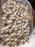 比莉熊（Billy Bear）果蔬餃子皮 500g 單盒裝 無添加防腐 無堿 早餐 水餃 蒸餃 曬單實(shí)拍圖