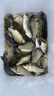 小鳳仙魚漂套裝全套黑坑野釣浮漂加粗醒目高靈敏鯽魚漂帶漂盒浮漂套裝 12支【梅蘭竹菊2.2倍醒目套裝】ABS套裝 綜合套裝 曬單實拍圖
