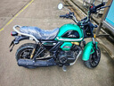 銀鋼全新25款A(yù)T150摩托車(chē)無(wú)級(jí)變速自動(dòng)檔摩托車(chē)通勤代步迷你機(jī)車(chē)ABS 2025款【綠野仙蹤】 前后雙通道ABS+前后雙減震 曬單實(shí)拍圖