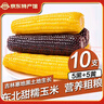 守望鄉(xiāng)村（KEEP W-VILLAGE GO）新鮮東北玉米新甜糯鮮嫩玉米棒 真空包裝 蔬菜苞米棒整箱裝 【5黑5黃】10支 （單支160-200g） 曬單實(shí)拍圖