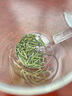 漢山春茶明前漢中仙毫2025高山云霧可冷泡綠茶雀舌茶葉毛尖茶送禮盒裝 特級口糧漢中仙毫50克/盒嘗鮮裝 曬單實拍圖